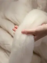 STARZHOME オーストラリア産ウール使用の冬用掛け布団【極上の柔らかさ・抗菌・保温性】