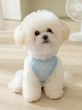 リード付きベスト 犬 小型子犬向け 薄手 夏向け