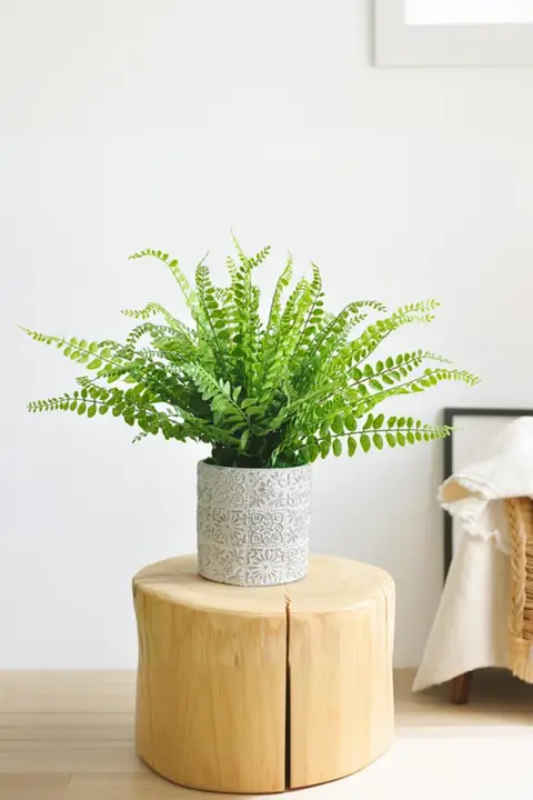 フェイクグリーン植物の鉢植え【リビング・オフィス装飾用・シダ植物風】
