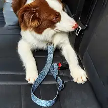 ペット用カーシートベルト【犬用・ナイロン製・プリントデザイン】