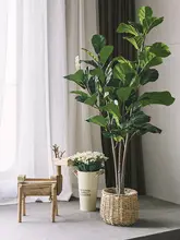 フェイツリー 大型植物 室内 家具 グリーン デコレーション
