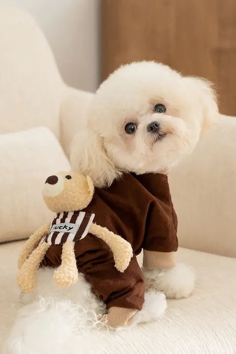 可愛い立体小熊デザインの犬用ホームウェア【秋冬用・毛が抜けにくい・小型犬向け】