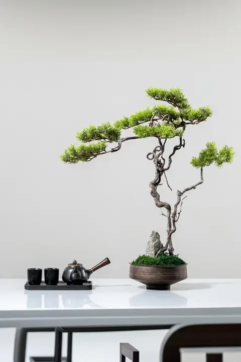 リアルな歓迎の松の盆栽【新中式・インテリアグリーン・茶卓用】