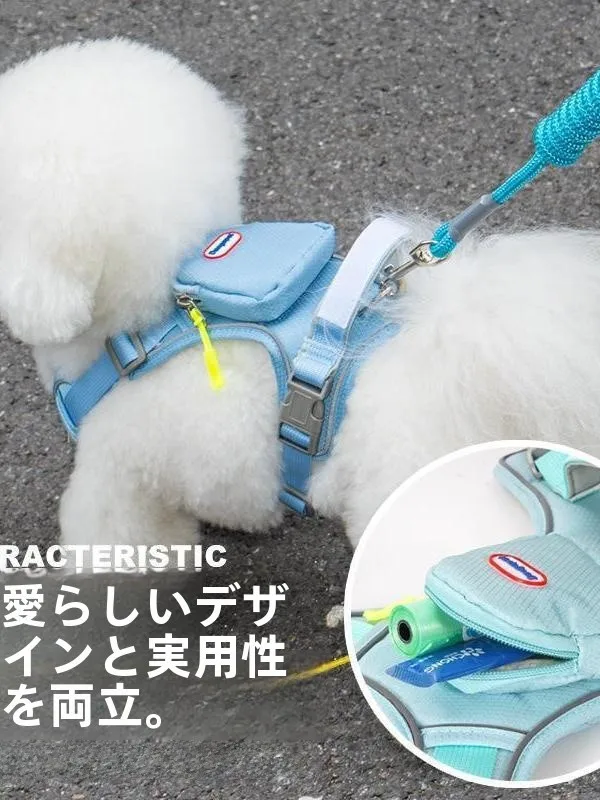 犬のお散歩グッズをコスパ良く揃える方法｜胸背式ハーネスで散歩の安心を実現