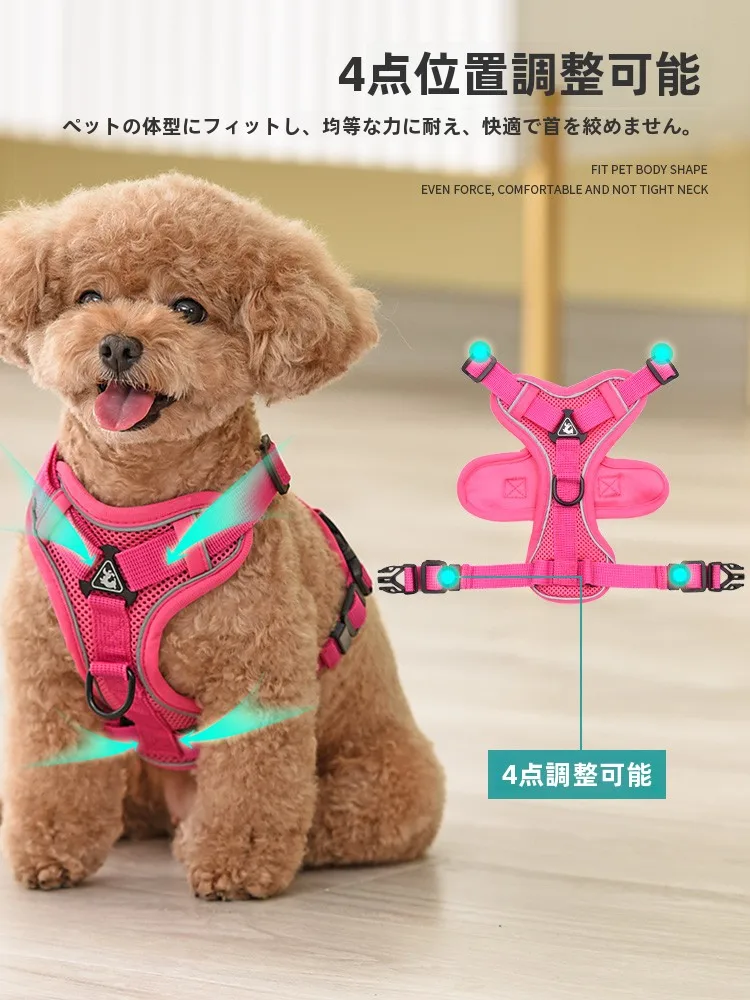 犬のお散歩グッズをコスパ良く揃える方法｜胸型ハーネスの実測ガイド