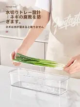 香草用整理容器【食品用・フレッシュ保存・冷蔵庫用】