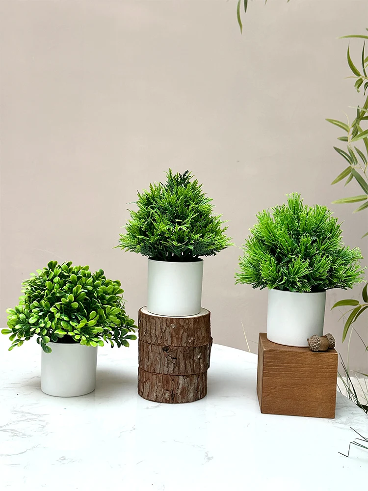 韓国インテリアを再現｜カフェ風部屋の作り方　模擬緑の植物選びの完全ガイド