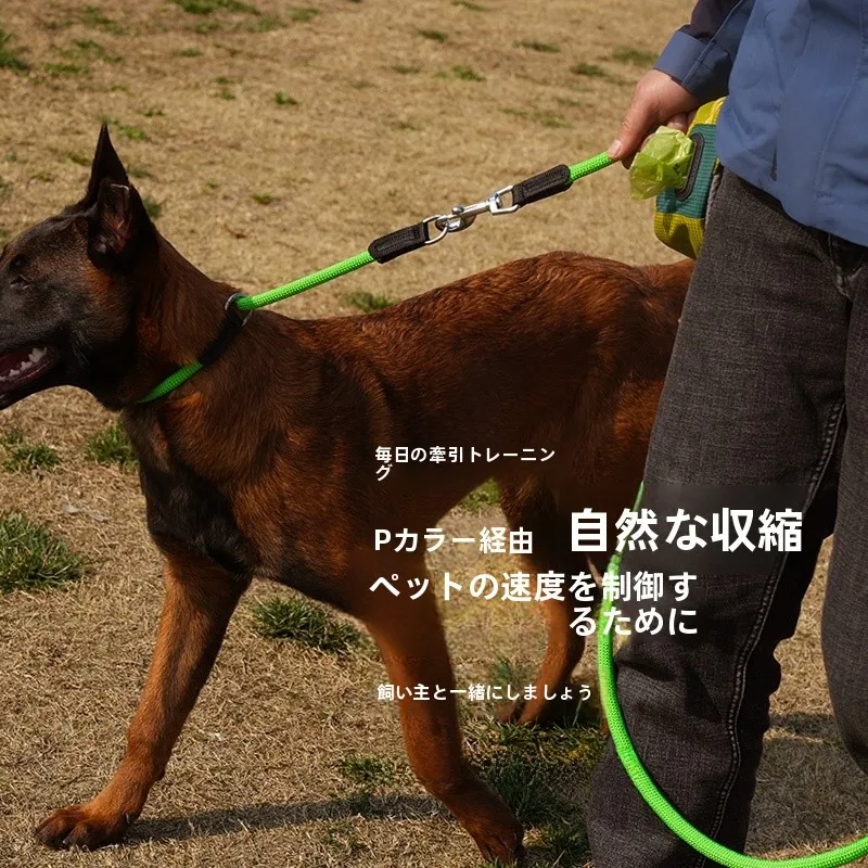 犬首輪とは何か：大型犬用防爆タイプのトレーニング実用性と設置ガイド