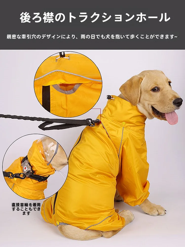 犬のお散歩グッズをコスパ良く揃える方法｜防水レインコートの選び方と実際の使い方