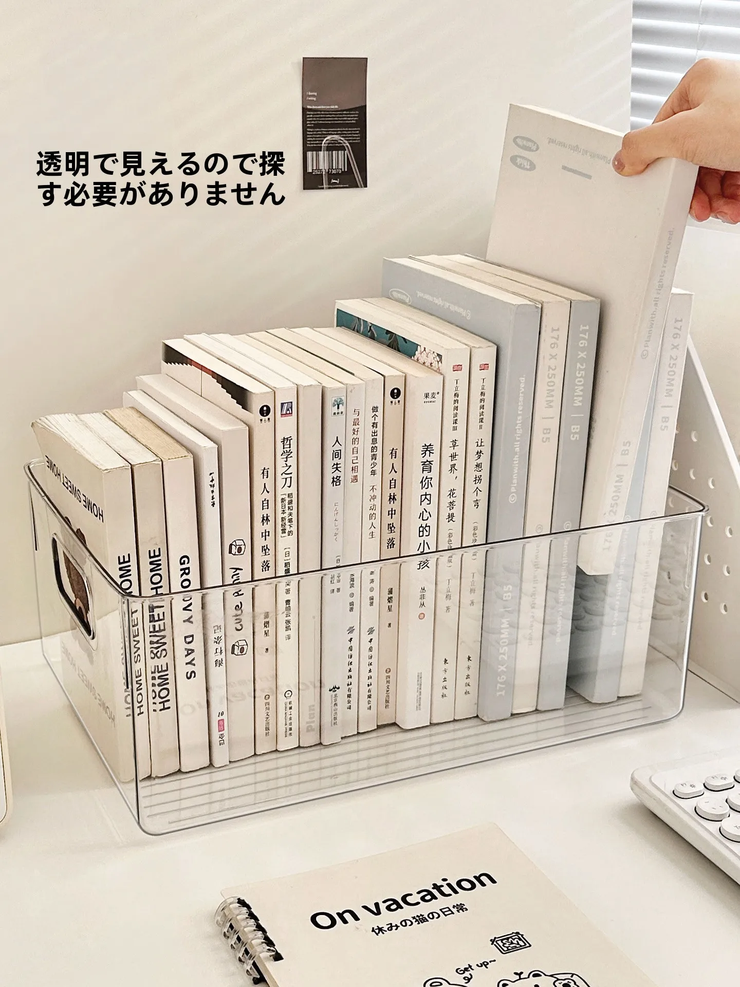 30×30 ボックスとA4ラックの違い：大容量書類整理ラックD2014/D3122の実用性と収納効率