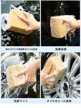 自動車用洗車スポンジ【コーラルホイール・泡立ち良好・吸水性抜群】