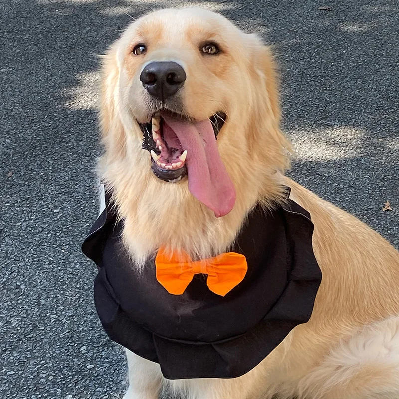 ハロウィン犬服：丸型バンダナで中型・大型犬に合うおしゃれデザイン