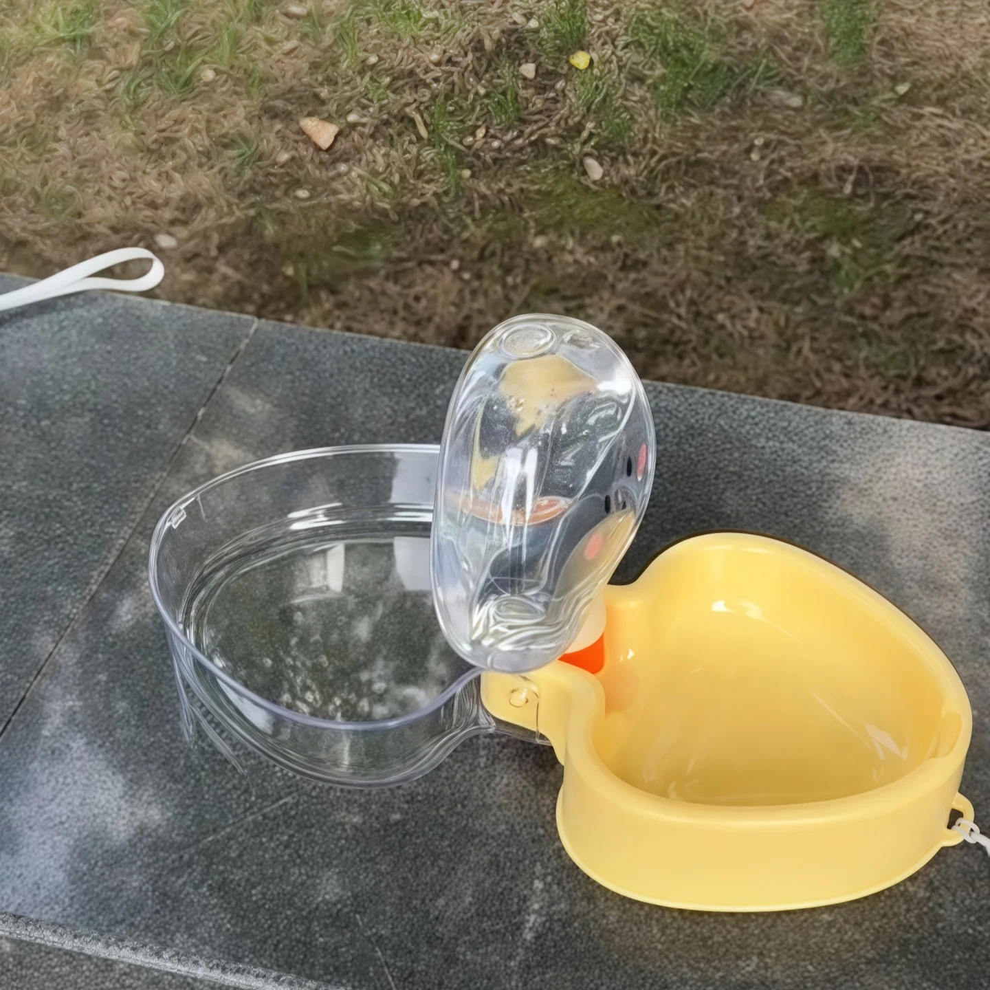ペット用折りたたみ式水分補給器：外出時も安心な水と餌の一体型設計