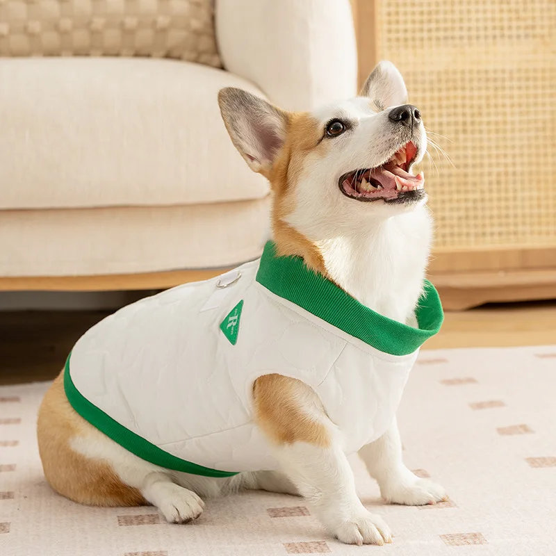 寒さに弱い犬に着せたら、なぜこのコットンウェアが救いになるのか？
