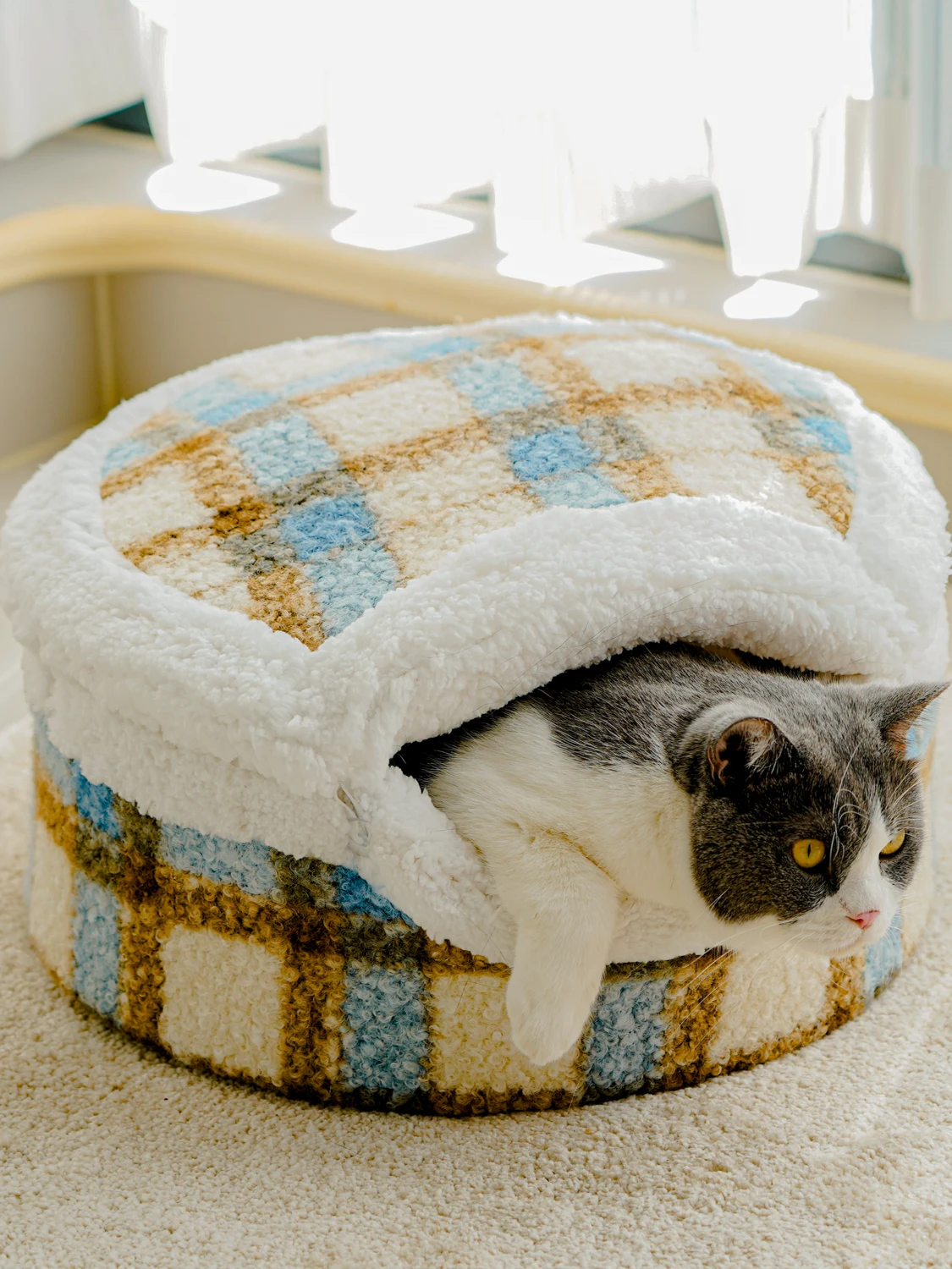 冬用あんこ風キャットハウス：閉じたデザインで効果的な保温性能を実現