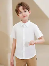子供用 半袖白シャツ【コットン製・学校用・薄手】（セットアップ対応）