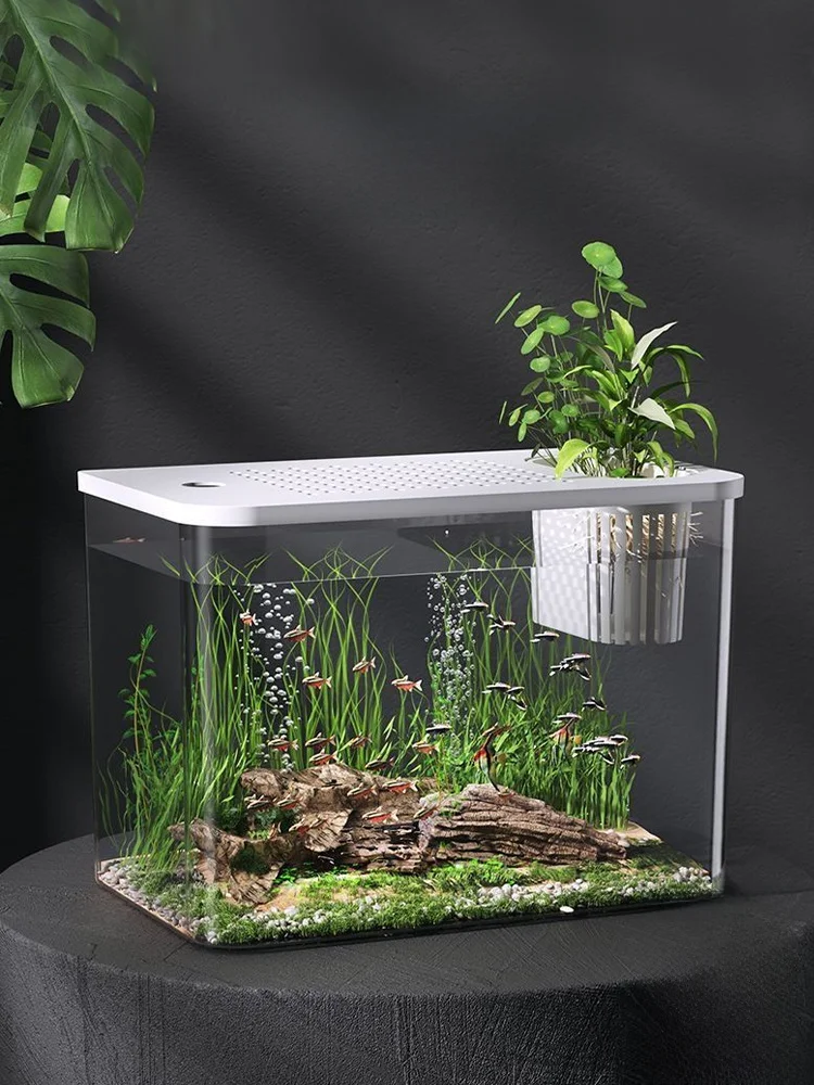 金魚水草セット：浮遊式小型水槽のエコデザインと負圧システムによる水質管理