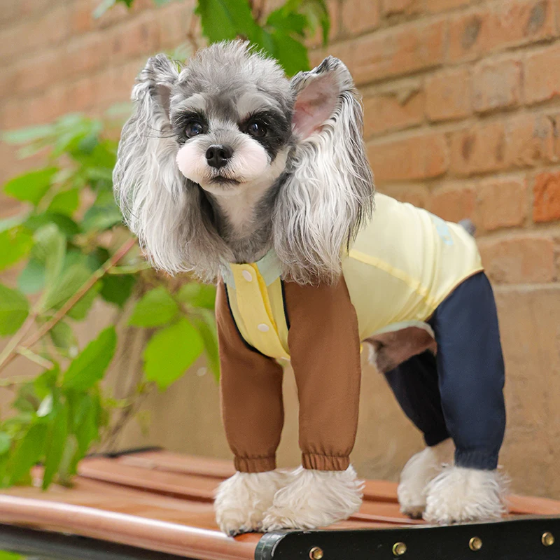 犬のお散歩グッズをコスパ良く揃える方法　完全ガイド