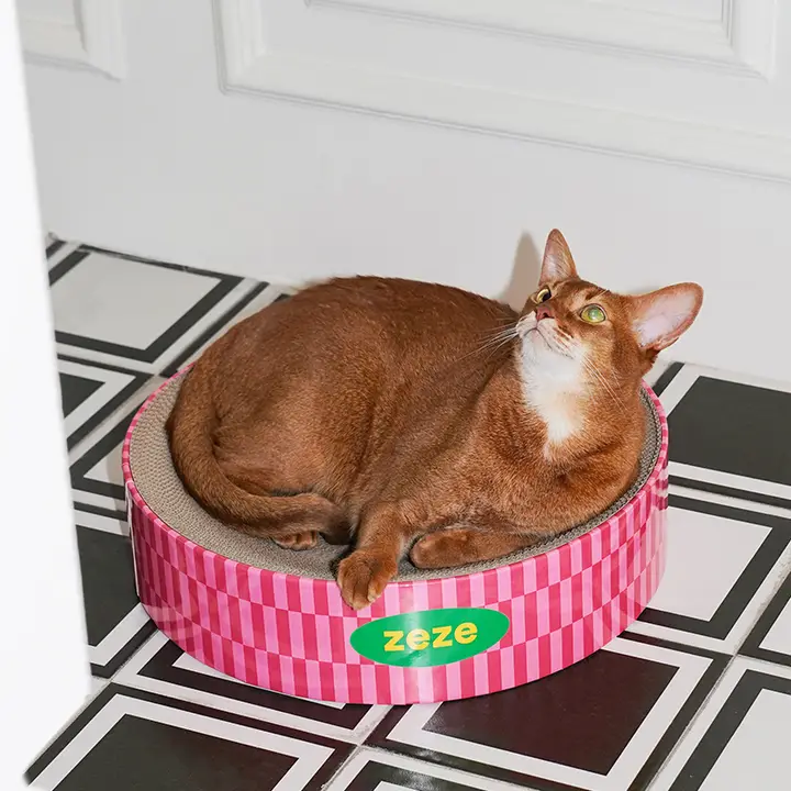 猫用 円形段ボール爪研ぎトレイ【耐久性・落ちないチップ・爪研ぎ用品】