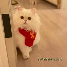 ペット用 新年スカーフ【猫・犬用・赤・国風・秋冬用・保温ニット】