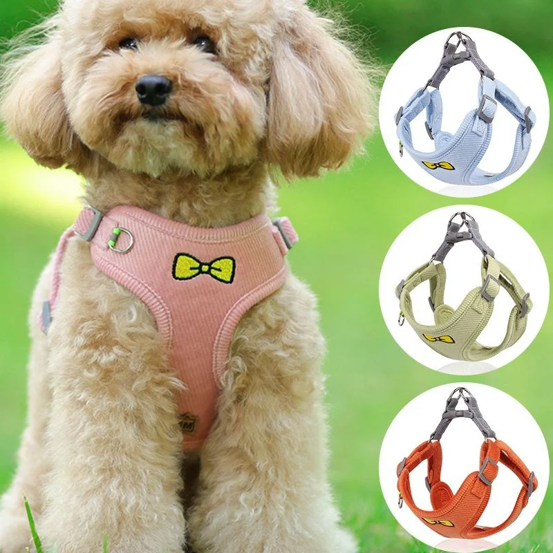 犬のお散歩グッズをコスパ良く揃える方法　実際の使い心地から解説