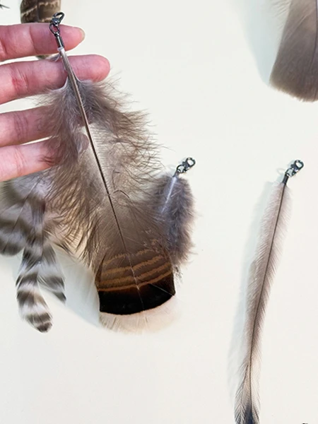 天然羽毛猫用玩具フェザー付きじゃらし：多猫家庭での実用性と使い分けのガイド
