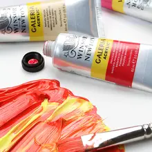 ウィンザー＆ニュートン アクリル絵具セット【マット仕上げ・60/250ML・防水・色持ち良好・アート・DIY用】