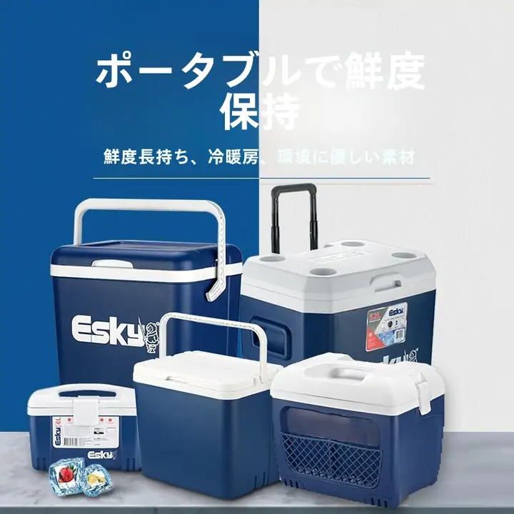 5Lポータブル冷蔵ボックス【充電不要・薬品用・車載用・恒温保温】
