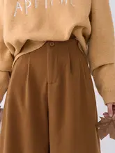 した印象のタック入りワイドレッグパンツ【冬用・カジュアル・女性用】