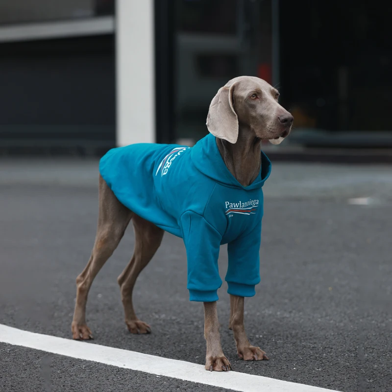 大型犬用ペット服：秋冬対応の保温スウェットシャツ選び方