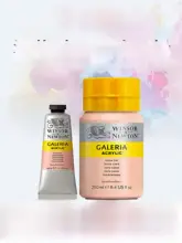 ウィンザー＆ニュートン アクリル絵具セット【マット仕上げ・60/250ML・防水・色持ち良好・アート・DIY用】