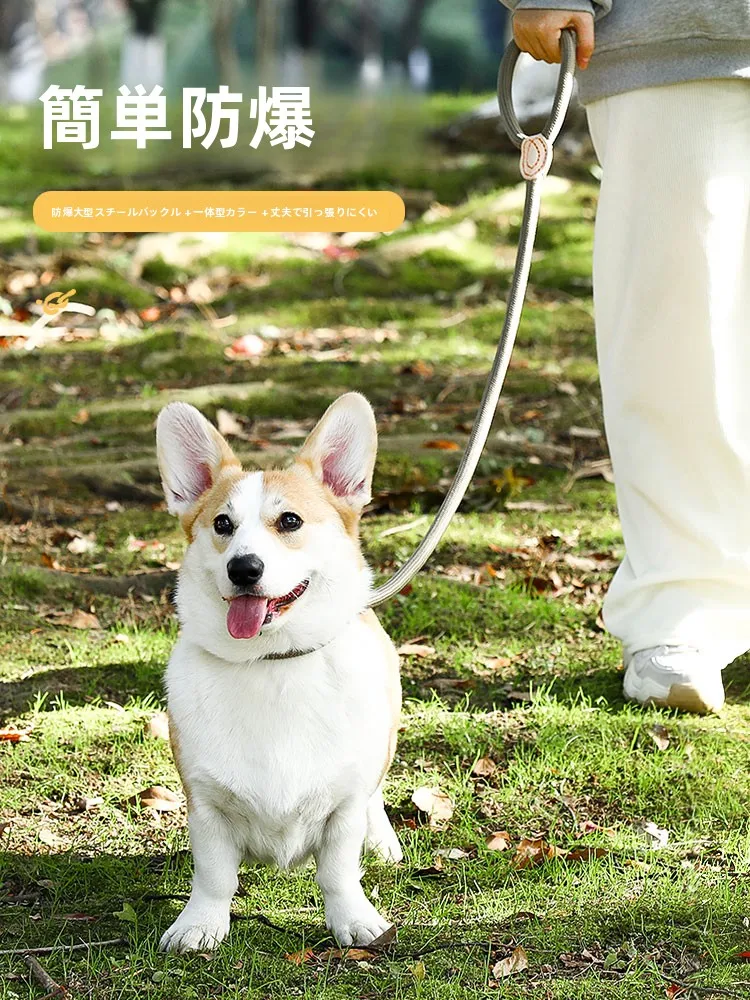 犬首輪リード：防爆設計と大中小型犬対応の実用性を徹底検証