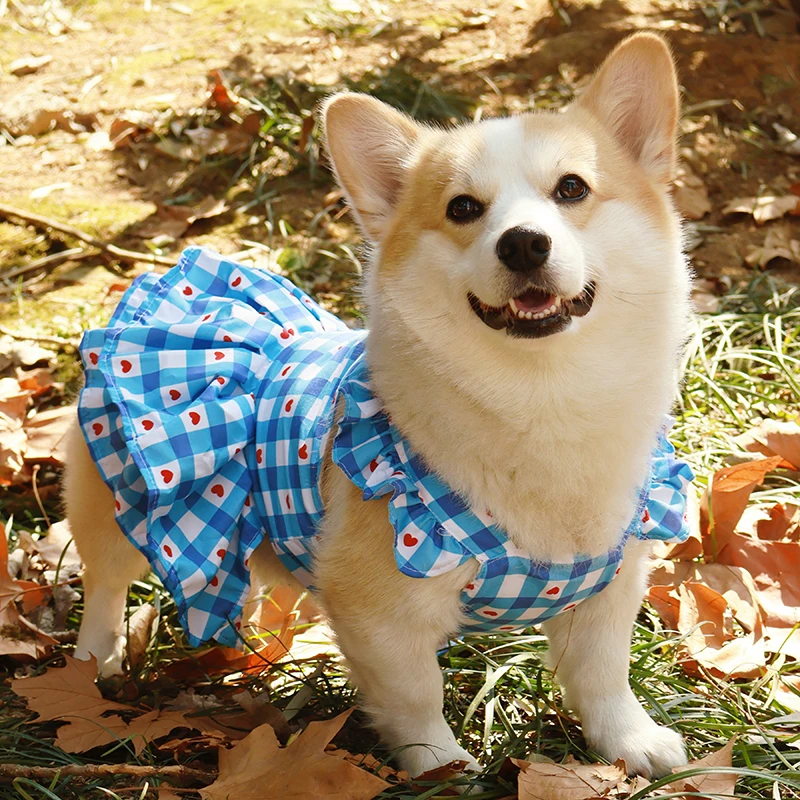 春夏用の薄手ドッグドレス：柴犬・コーギー向けの通気性と防虫機能を備えたプリンセススタイル