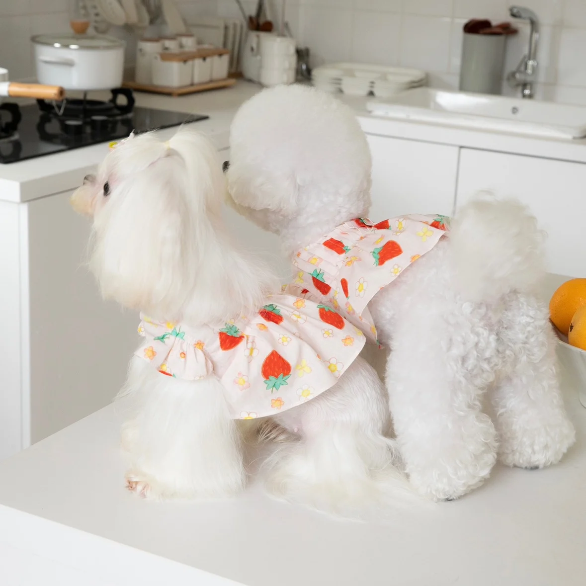 ミニスカートで夏を楽しむ！草苺風プリーツ付き犬用連身裙の使い方と特性