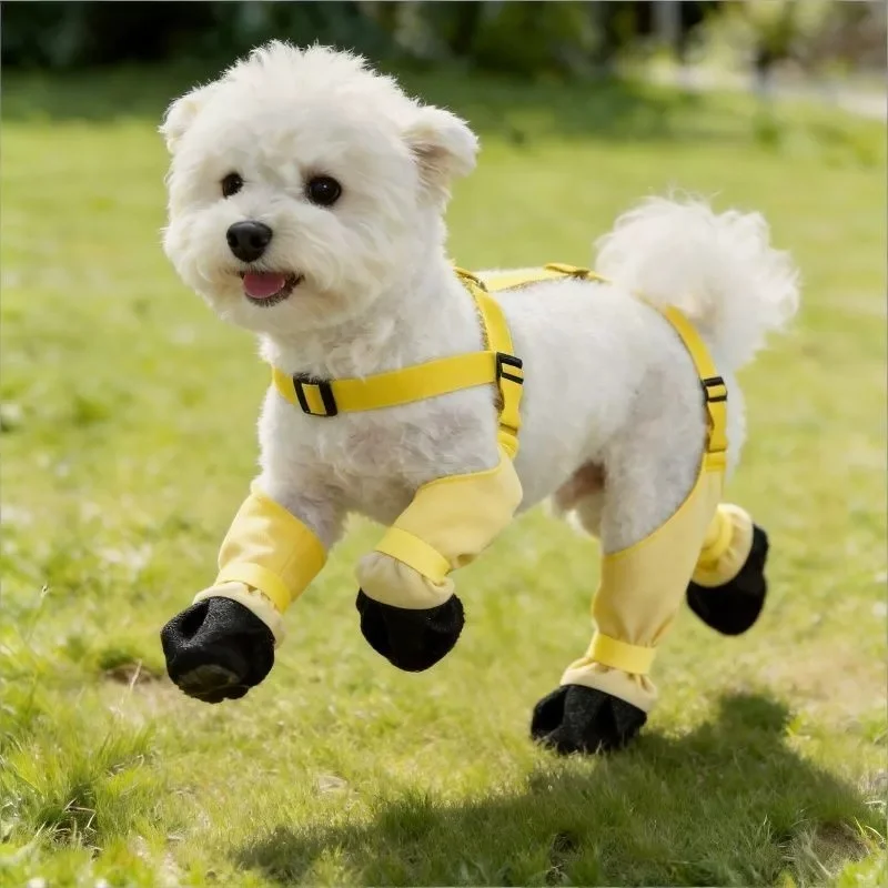 犬の散歩服装 おすすめ：雪狮の防水四脚パンツが夏の外出に最適