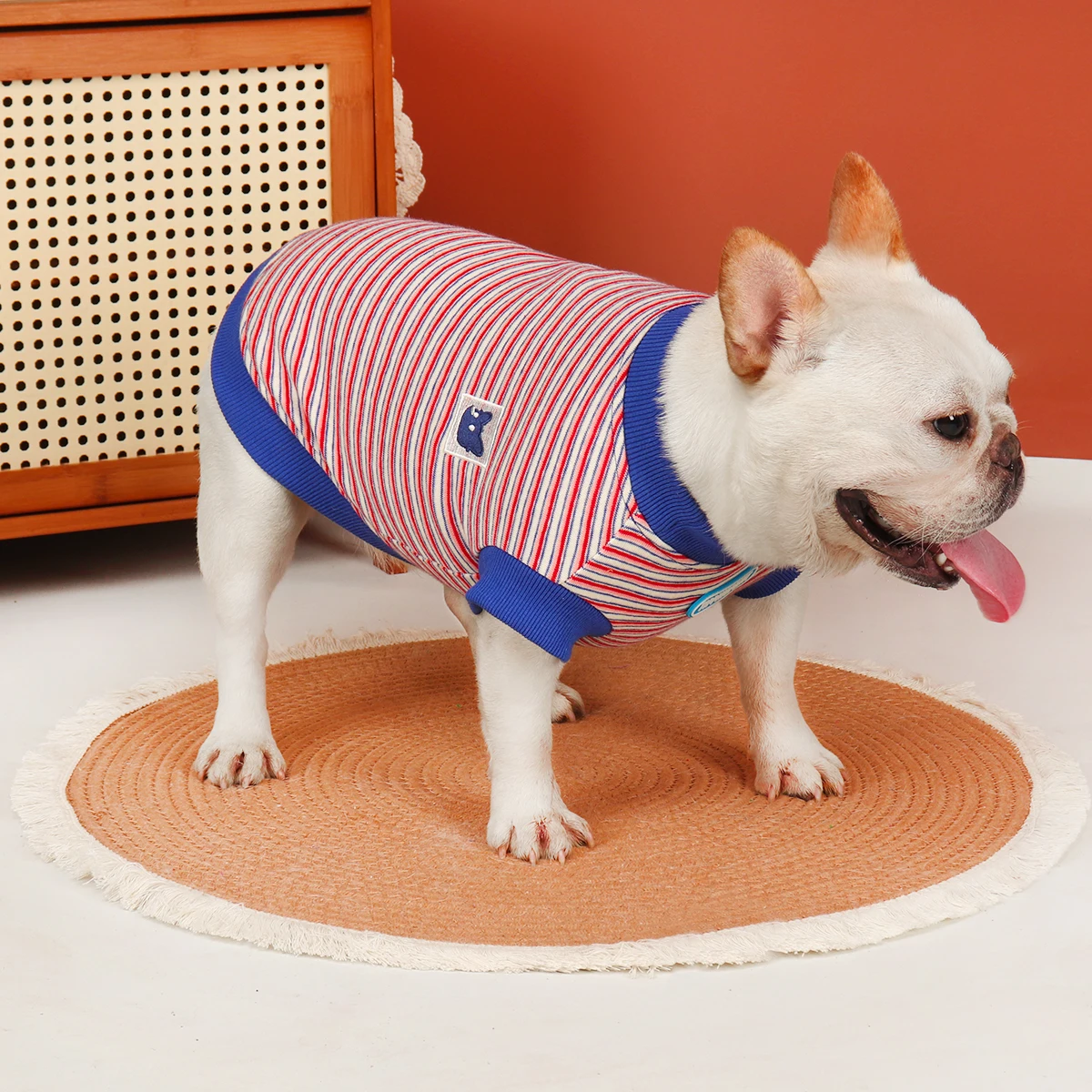 犬を飼う初心者にぴったりの春の着こなしは？半袖スウェットシャツの選び方