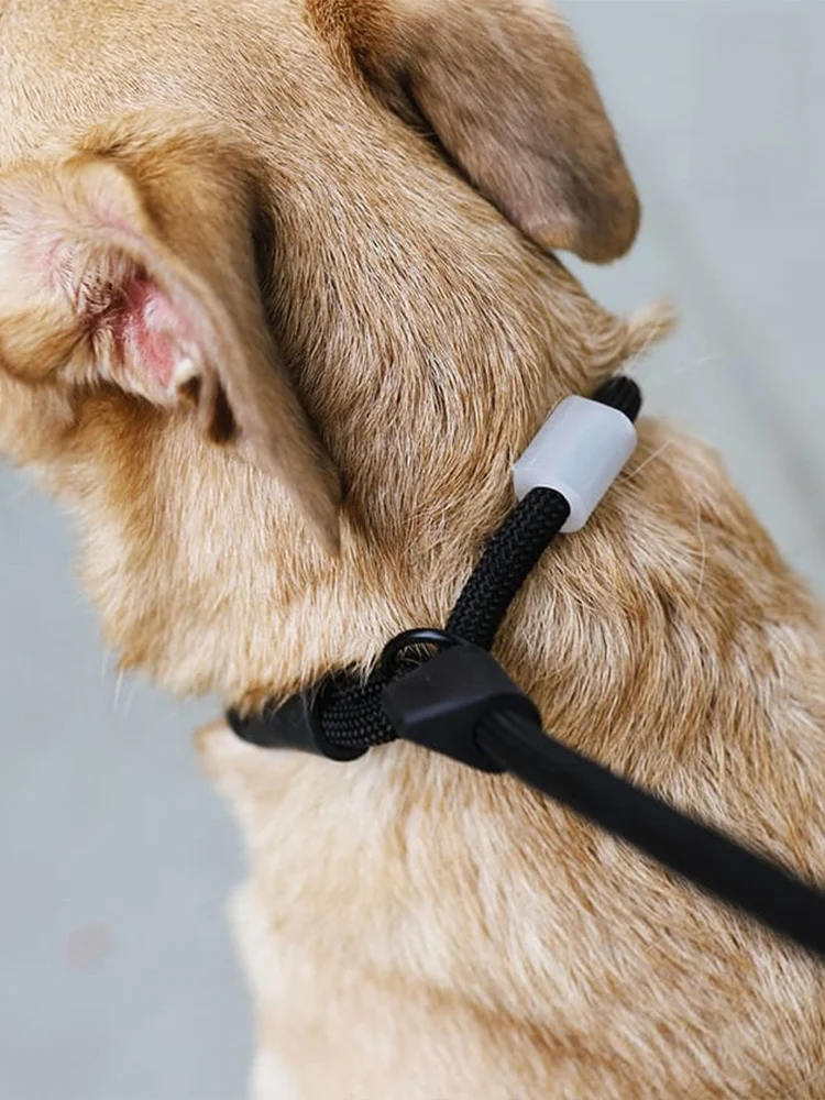 犬のお散歩グッズをコスパ良く揃える方法｜スライド式リードでストレスを減らす完全ガイド