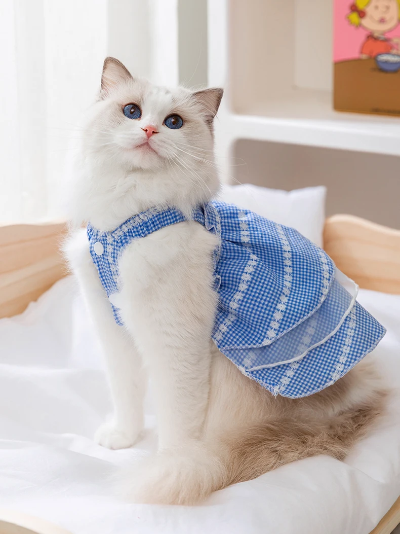猫飼いが買ってよかったもの・悪かったもの正直に言う｜夏の快適さを実現するレースドレスの徹底解説