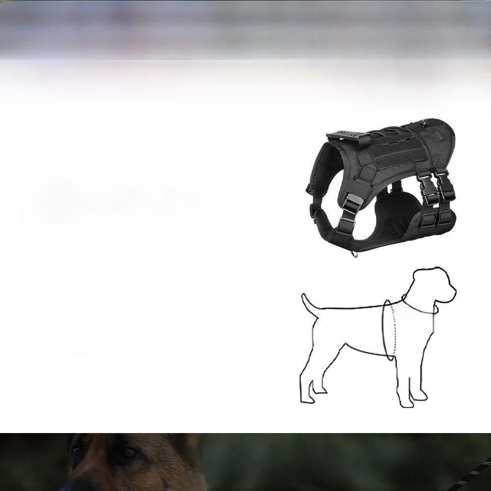 犬のお散歩グッズをコスパ良く揃える方法 - 延長タイプリードの機能とサイズ選定
