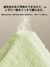 防水カバー付きマットレス保護シーツ【加厚・綿入り・防塵タイプ】