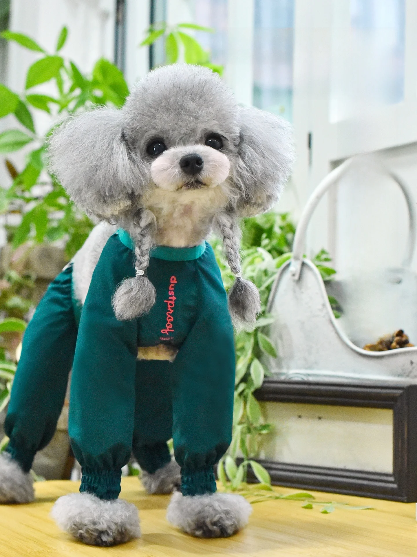 犬用防塵パンツ：三防仕様で災害時の全身カバーを実現