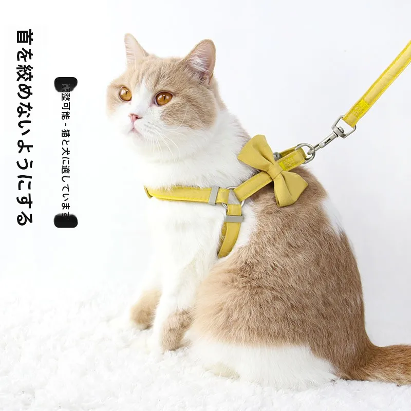猫飼いが買ってよ  かったもの・悪かったもの正直に言う｜外出時のストレス軽減ガイド
