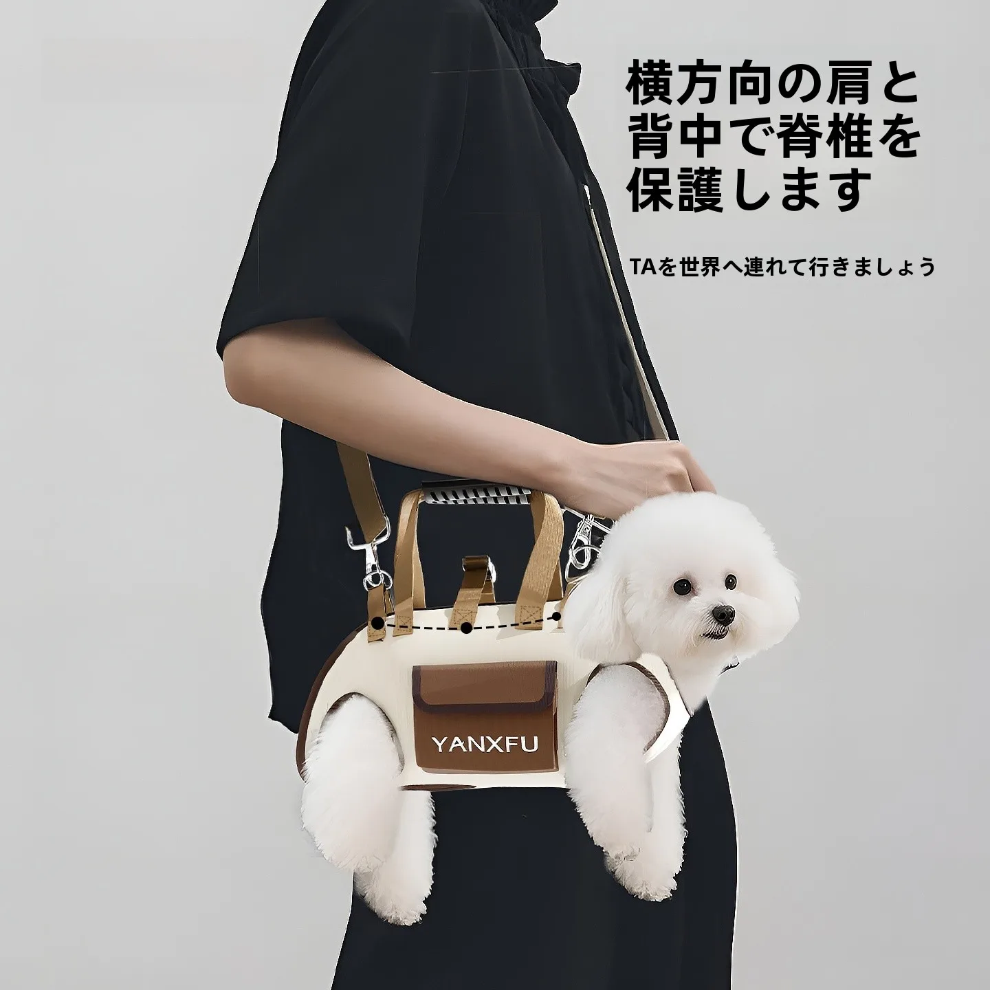 犬のキャリーバッグ おしゃれ チワワ おすすめ5選：安全・デザイン・持ち運びやすさをバランスよく選ぶ方法