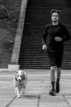 中大型犬用 牽引ロープ【快適耐磨・ショート＆ロング＆ダブルハンドル】