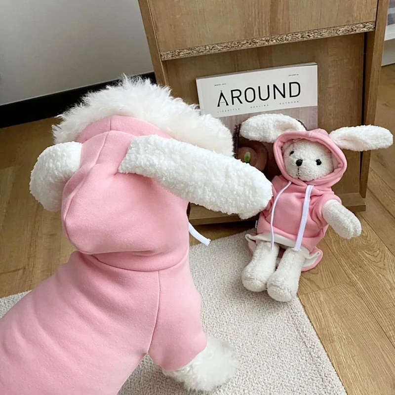 うさぎ服を選ぶときに迷うのは、どんな色か？それともどんなサイズか？