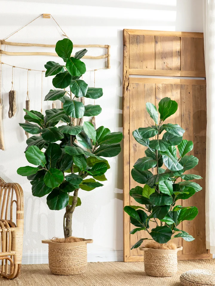 大型 カシワバゴムノキ フェイクグリーン 人工観葉植物 リビング用 装飾盆 鉢植え