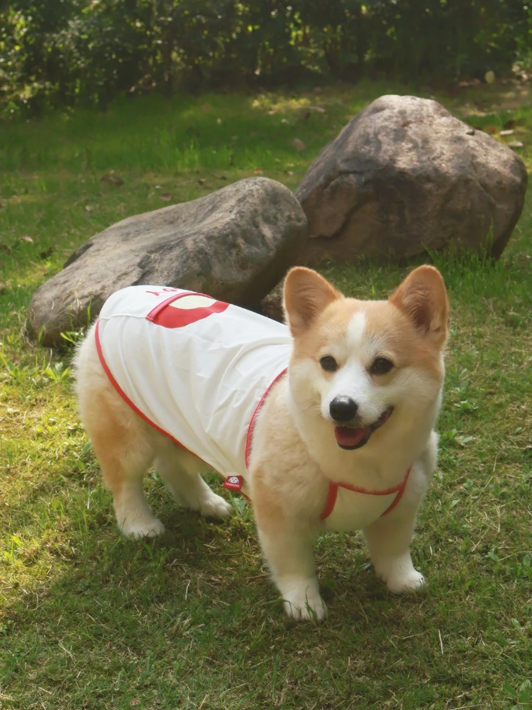 犬用冷却ベスト：春夏散歩時の紫外線対策と抜け毛防止が実現