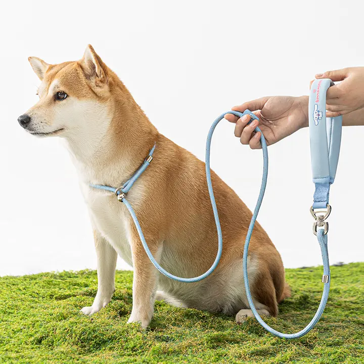 hipidog 小型犬用 ペット用リード【快適な散歩に最適・軽量・丈夫】