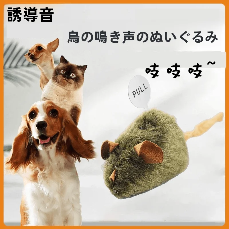 猫用おもちゃ【電動マウス・運動不足解消・知能開発】の最新技術とは