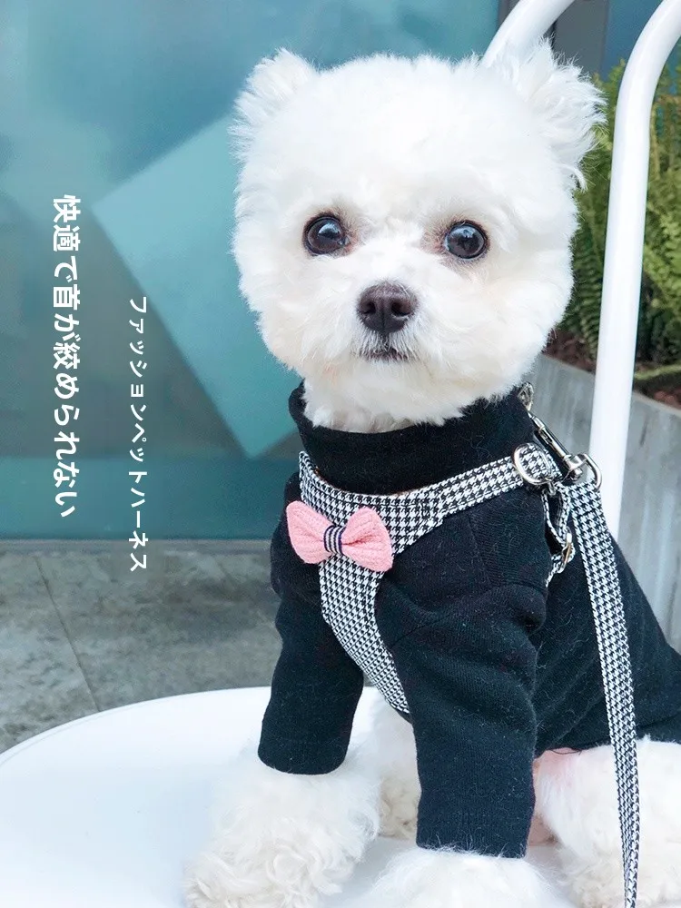 犬のお散歩グッズをコスパ良く揃える方法｜調整可能なハーネス型リードの選び方徹底解説